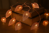 Leaf-shaped string lights on top of books with a warm glow.